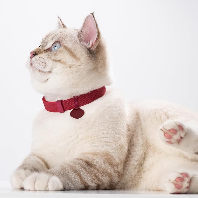 Safety Cat Collar Pro and Tag Set - U.S. IDA Gold Award, Elastic Release Cat Collar Charm Tag, Non Breakaway Cat Collar Adjustable with Charm for Kitten Small Large Cats (Sierra Blue, S)