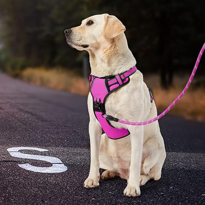 IVY&LANE No Pull Dog Harness for Medium Dogs,Dog Vest Harness with Leash,Safety Belt and Storage Strap, Fully Adjustable Harness,360° Reflective Strip,Soft Handle (Fuchsia Pink,M)