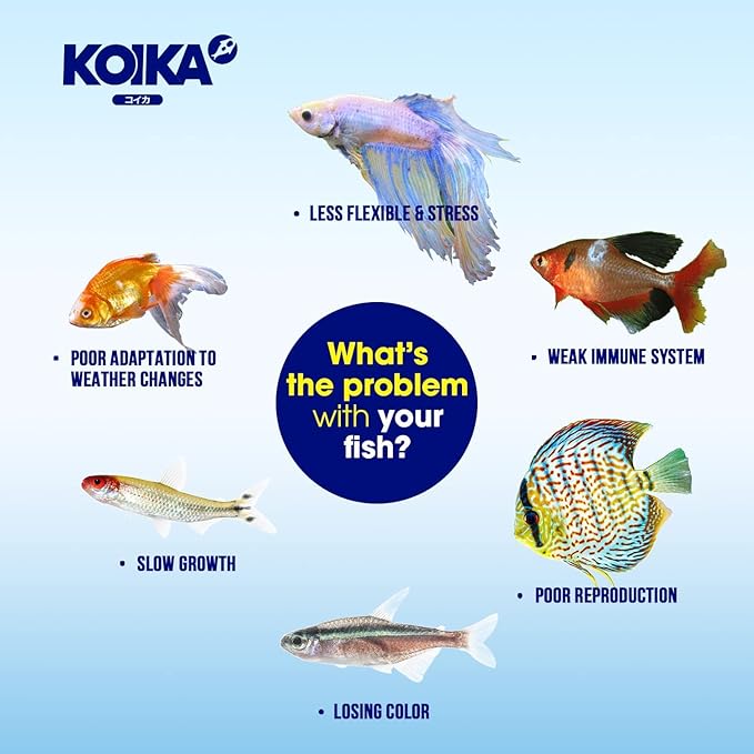 KOIKA BACM Natural Color Enhancement for Fish, Combination of Probiotic & Multi-Vitamins for Aquarium A, B6, B2, Pleasant Smell (BACM (New Formula), 10ml)