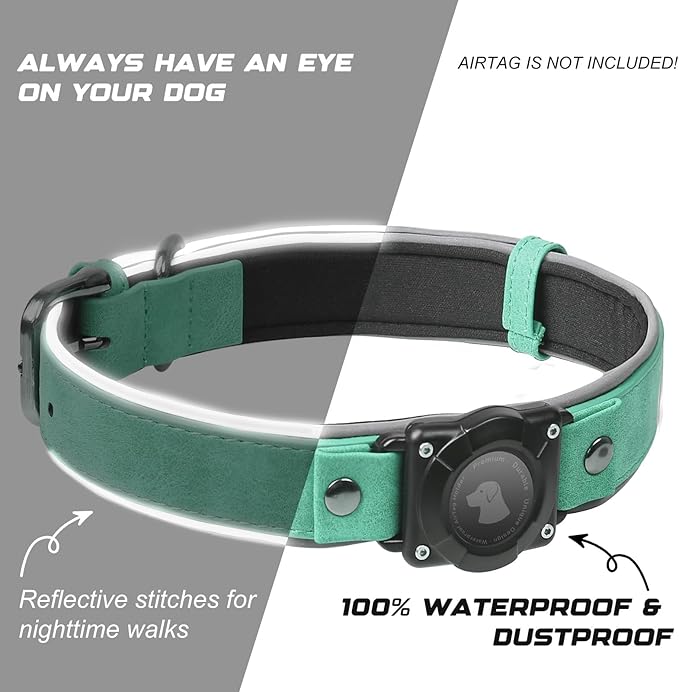 AirTag Dog Collar - Leather Dog Collar with Air Tag Holder | IPX8 Waterproof, Reflective, High - End, Adjustable Soft Padded | Dog GPS Tracker Collars Fit for Medium Large Dogs (Teal, L)