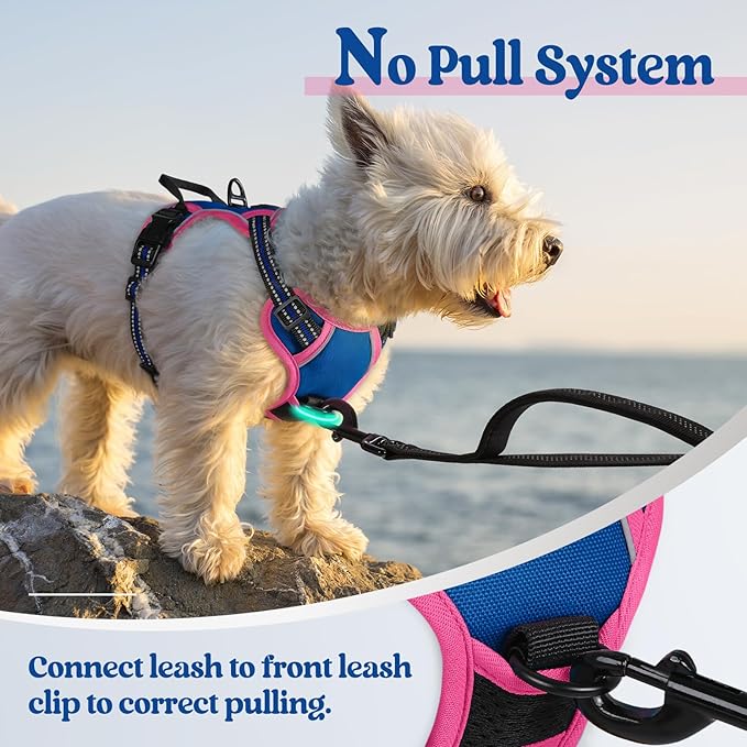 rabbitgoo Dog Harness No Pull with 2 Leash Clips, Adjustable Soft Padded, Reflective Oxford No Choke Pet Vest with Easy Control Handle for Large Dogs, Blue & Hot Pink, XS