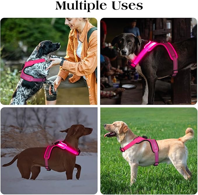 Light Up Dog Harness, Rechargeable LED Dog Harness with Battery Level Indicator, Adjustable Reflective Safety Vest for Night Walking, Soft Mesh Lighted Harness for Medium Large Dogs(5-90lbs)