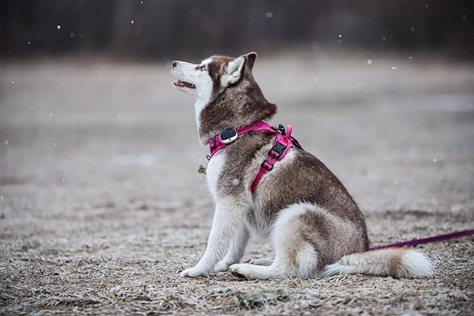TRUE LOVE Truelove Adjustable No-Pull Dog Harness Reflective Pup Vest Harnesses Comfortable Control Brilliant Colors TLH5651(Fushcia,M)