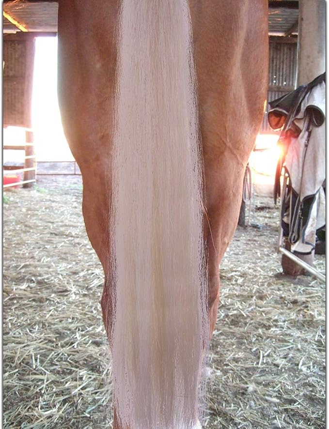Horse Tail Extensions with Braided Horsehair Loop, Blunt Cut Bottom, 28-30 inches Long and 3/8 lb Weight