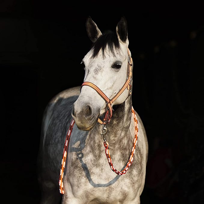 HORZE Adepto Adjustable Horse Halter | Soft, Durable Polyester - Coral Gold - Warmblood