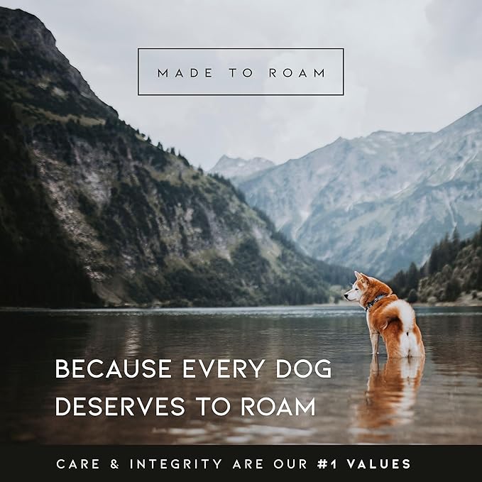 MADE TO ROAM Premium Explorer Harness - Y-Shaped Dog Harness with Adjustable Durable Nylon, Soft Padding, Metal Buckles and Leather Handle for Small, Medium, Large Dogs (Washington Rain, Size 3)