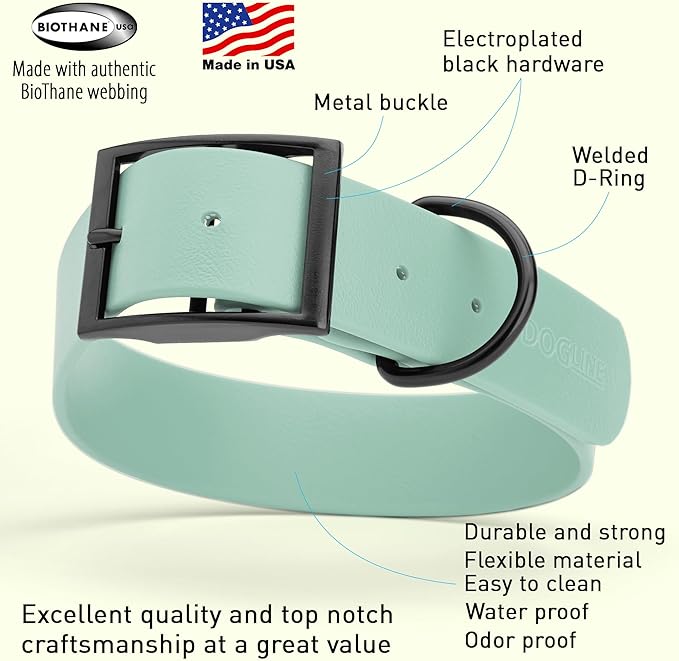 Dogline Biothane Waterproof Dog Collar Strong Coated Nylon Webbing with Black Hardware Odor- Proof for Easy Care Easy to Clean High Performance Fits Small Medium or Large Dogs, Sage Green