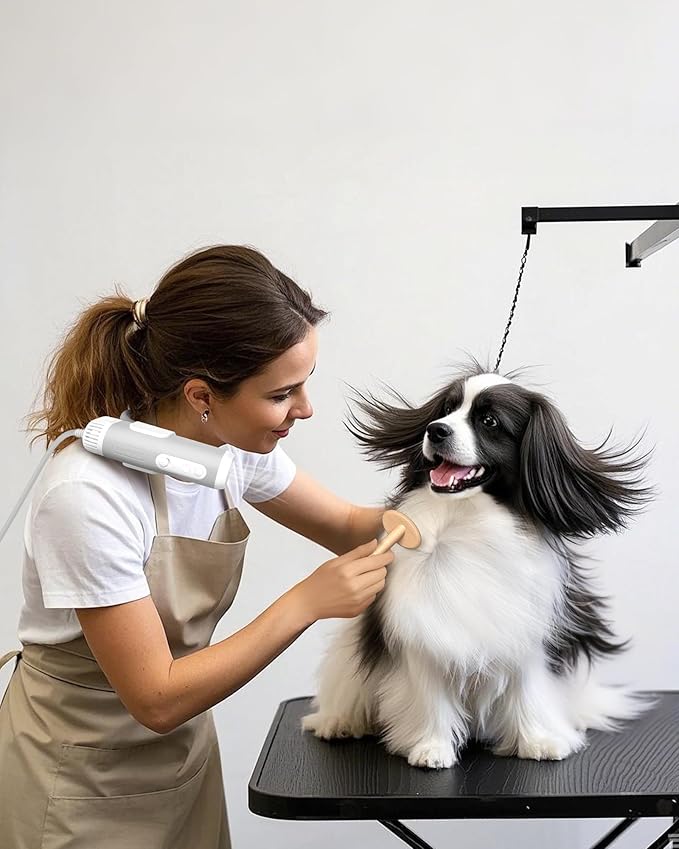 L&W BROS. Hands-Free Dog Dryer – Powerful & Professional Pet Blow Dryer for Small & Medium Dogs & Cats, Adjustable Airflow, Easy Storage, Negative Ion Technology (Gray)