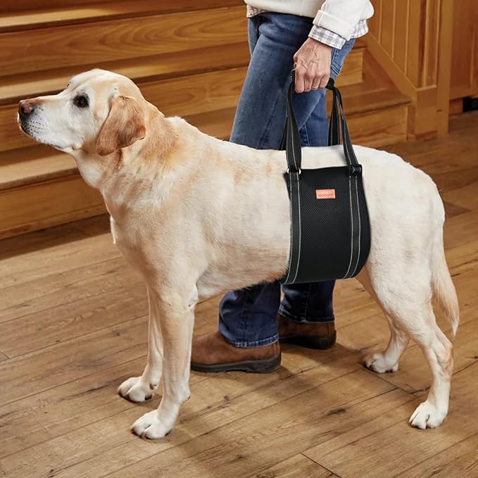 LOOBANI Portable Dog Sling for Back Legs, Hip Support Harness to Help Lift Dogs Rear for Canine Aid and Old K9 Cruciate Ligament Rehabilitation