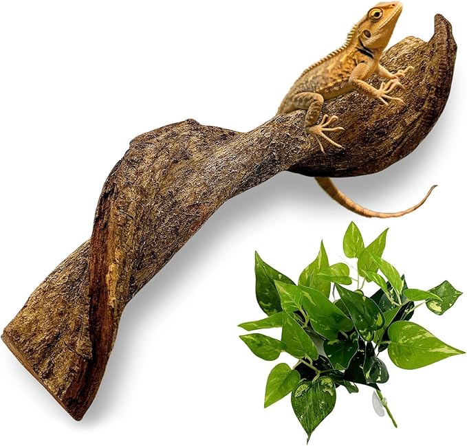 BNOSDM Reptile Climbing Branches Decor,Snake Climbing Branch,Gecko Climb Wood,Lizard Forest Branch,Tank Habitat Tree Trunk Decorations for Bearded Dragons,Chameleons,Spider,Frogs (XL)