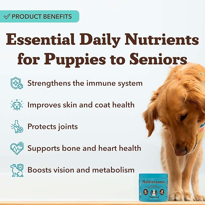 Natural Dog Company 25 in 1 Multivitamin for Dogs – Daily Soft Chews with Vitamins, Minerals & Antioxidants, Immune & Joint Support, for All Ages, Sizes & Breeds, Bacon & Peanut Butter – 90 Count