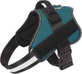 Bolux Dog Harness, No-Pull Reflective Dog Vest, Breathable Adjustable Pet Harness with Handle for Outdoor Walking - No More Pulling, Tugging or Choking (Turquoise, L)