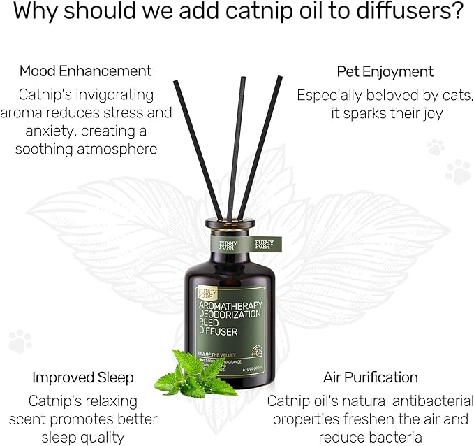 Reed Diffuser for Pet Odor Elimination, Berry Rum, Non-Toxic & Pet-Friendly Air Freshening, 6 Oz