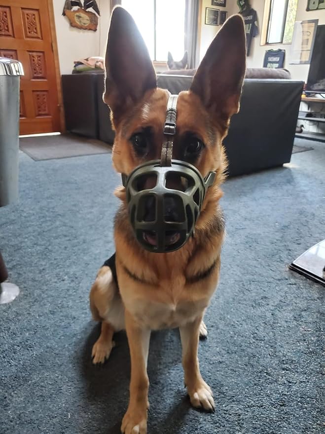 Mayerzon Dog Muzzle, Breathable Basket Muzzles for Small, Medium, Large and X-Large Aggressive Dogs Beagle German Shepherd Doberman, Cage Mouth Guard Stop Biting Chewing for Grooming Training