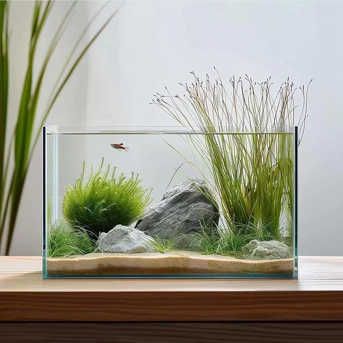 3 Gallon Glass Fish Tank, Easy to Maintain Small Aquarium for Betta/Goldfish/Snails/Shrimp and Aquatic Planting.