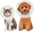 Cat Cone Collar Soft- Adjustable Comfortable Air Mesh Recovery Cone After Surgery to Stop Licking and Scratch, Alternative to Plastic Elizabethan Collar for Cat, Whiskers Freedom (Grey, XS)