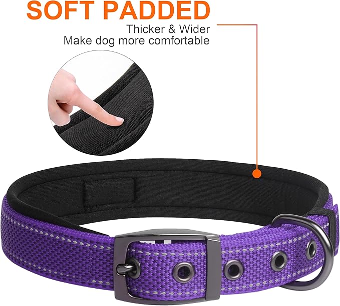 Fida Heavy Duty Dog Collar, Ultra Comfortable Soft Neoprene Padded, Adjustable Reflective Nylon Pet Collar with Durable Metal Belt Buckle for Medium Breeds (M, Purple)