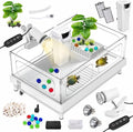 GOZILLA Small Turtle Tank Kit(Tank+Lamp+Filter), Acrylic Turtle Starter Kit with Adjustable Lamp, Reptile Habitat and Terrarium with Multi-Functional Areas for Small Reptiles. (White Kit)