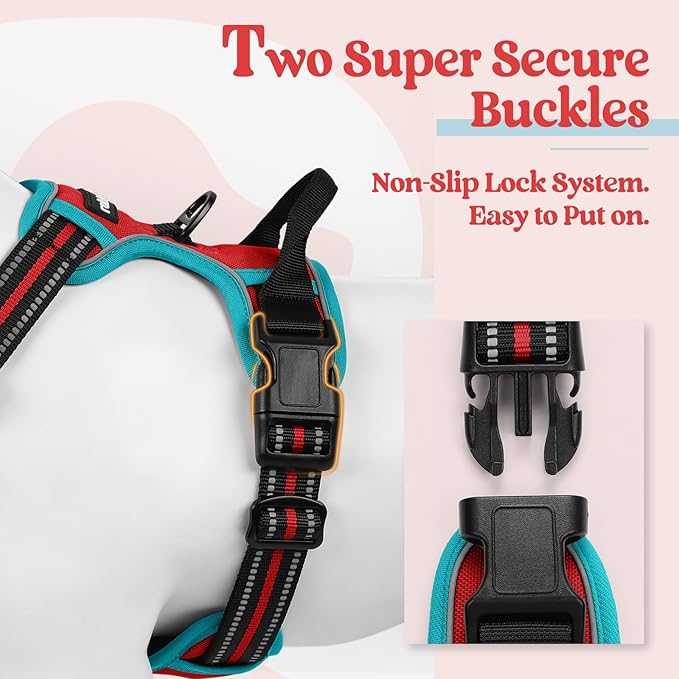rabbitgoo Dog Harness No Pull with 2 Leash Clips, Adjustable Soft Padded, Reflective Oxford No Choke Pet Vest with Easy Control Handle for Large Dogs, Red & Teal, L