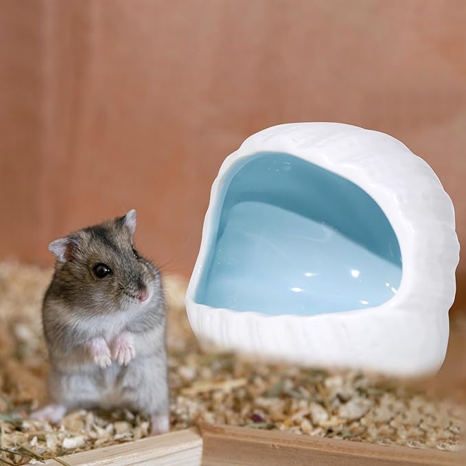 Ceramic Hamster Hideout Guinea Pigs House Guinea Pig Accessories Sand Bathes for Small Pets Hamster Accessories for Cages for Guinea Pigs Chinchillas Gerbils Hedgehogs (Blue)