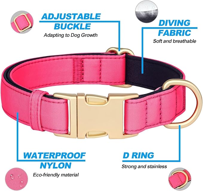 Didog Soft Padded Dog Collars for Medium Dogs, Colorful and Durable Dog Collar with Quick Release Buckle, Light and Breathable for Daily Walking, Pink, M