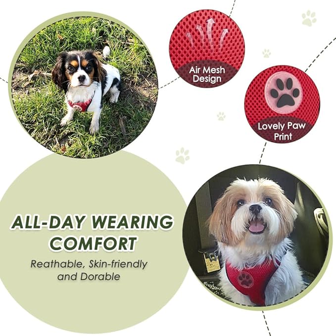 SlowTon Dog Seat Belt Harness for Car, Dog Car Harness Adjustable Mesh Breathable & Dog Seatbelt Safety Tether with Elastic Bungee for Small Medium Large Pets(Red, Double Clip, S)