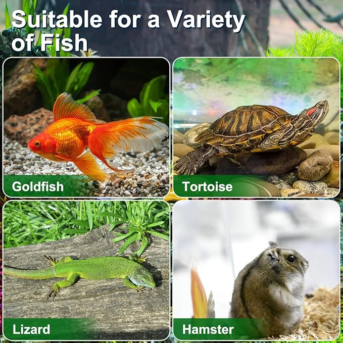 HANABASS Mini Fish Tank with Lid, Handheld Transparent Fish Box, Plastic Small Transparent Aquarium with Handle, Turtle Tortoise Habitat Tank, 5.9x4.3x3.7 Inches