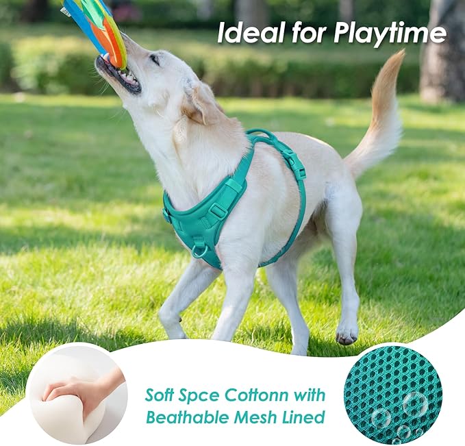 No Pull Dog Harness, Puppy Vest with Front Clip for Small Medium Large Sized Dog(MARRS Green,S)