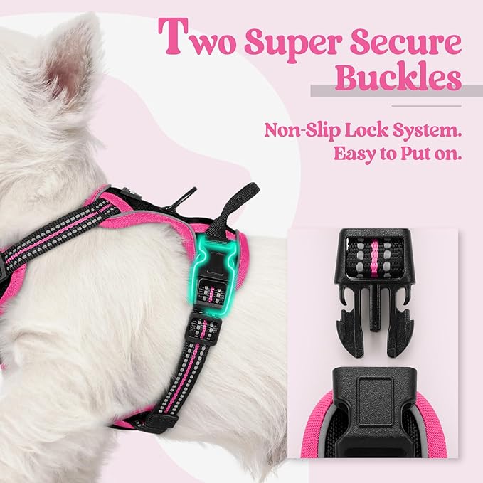 rabbitgoo Dog Harness No Pull with 2 Leash Clips, Adjustable Soft Padded, Reflective Oxford No Choke Pet Vest with Easy Control Handle for Large Dogs, Black & Hot Pink, XS