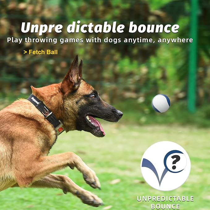 Squeaky Floating Dog Toy – Interactive Water Ball for Fetch & Pool Play, Durable Cognitive Ball for Smart Dogs,Ideal for Medium & Large Dogs