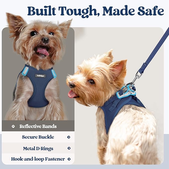 rabbitgoo Dog Harness Small Sized and Leash Set, Step in Soft Light Puppy Vest, Breathable Mesh Pet Harness, Reflective for Safe Outdoor Walking, Navy Blue M