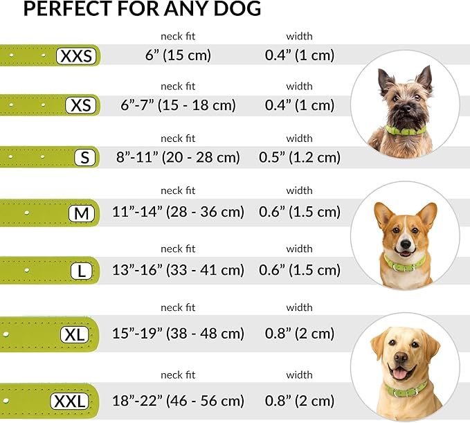 CollarDirect Rolled Leather Dog Collar, Soft Padded Round Puppy Collar, Handmade Genuine Leather Collar Dog Small Large Cat Collars 13 Colors (11-14 Inch, Lime Green Smooth)