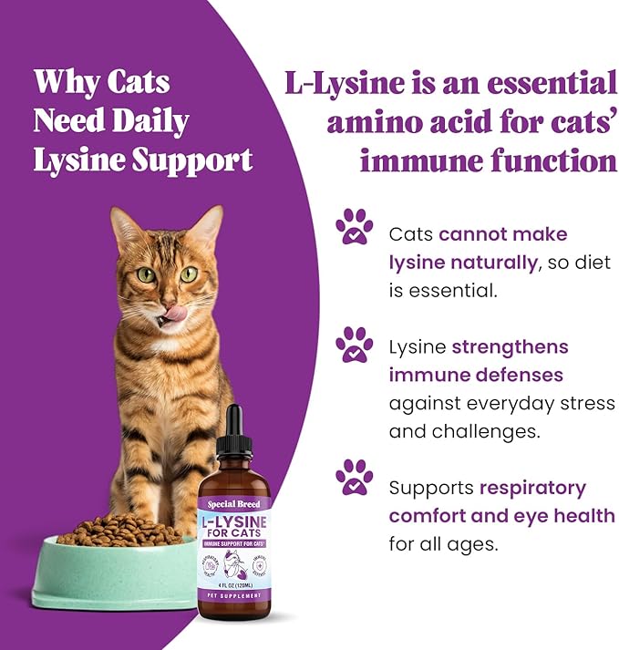 Special Breed L-Lysine for Cats & Kittens – Immune, Respiratory & Eye Health Support – Liquid Cat Supplement with Astragalus, Burdock, Atractylodes, Dangshen & Vitamins A, B1, B2, B6 – 4oz (120mL)