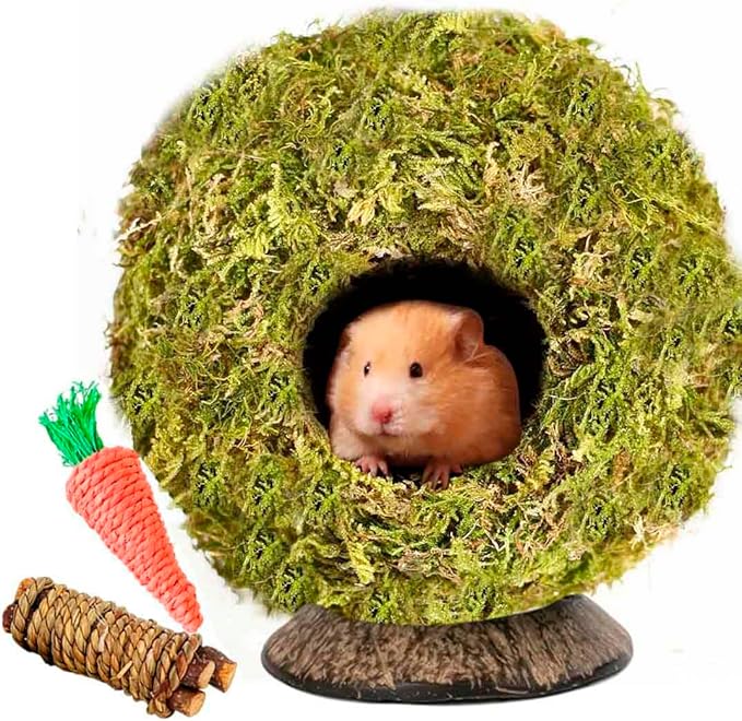 Coconut Hamster Hideout Hamster House Gerbil Cage for Small Animals with a Bundle of Apple Sticks a Carrot (Yellow)