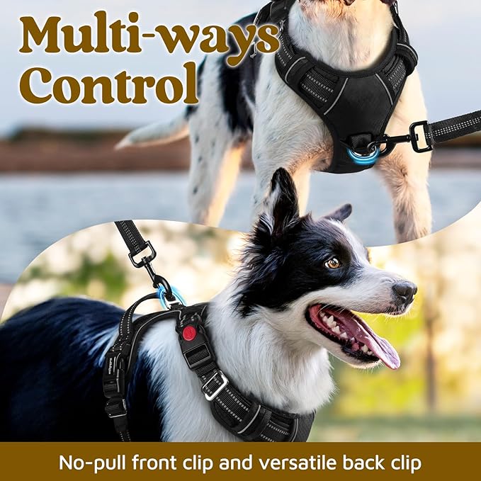 rabbitgoo Dog Harness for Large Dogs, No Pull Pet Vest with 3 Buckles, Adjustable Soft Padded Pet Harness with Easy Control Handle and Reflective Strips, Black, XL