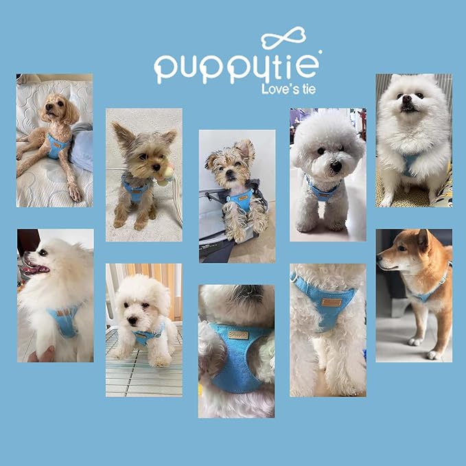 Puppytie No Pull Dog Harness with Multifunction Dog Leash,Soft Adjustable No Choke Escape Proof Pet Harness Vest for Medium Dogs or Large Dogs,Ocean Blue,M