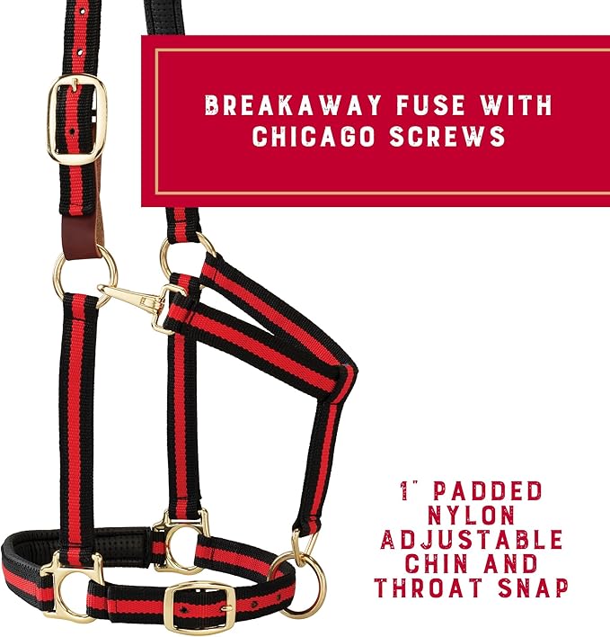 Weaver Equine Breakaway Horse Halter, Comfort Foam Padding, Adjustable Chin & Throat Snap Halters for Horses, Equine Tack,Average Size, Red
