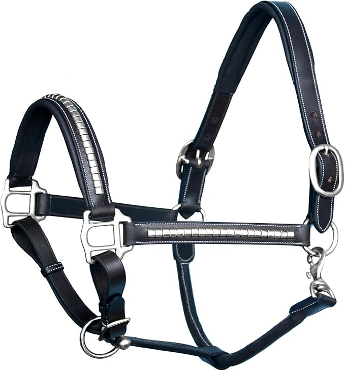 Exion Leather Horse Halter with Padding & Clincher Studs – Adjustable Quick‑Release Crownpiece Halter for Horses – Vegetable‑Tanned Leather in Black & Brown – Cob, Full & Oversize