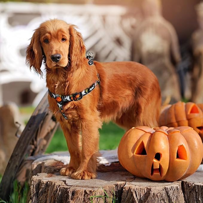 PUPTECK No Pull Dog Harness Soft Adjustable Basic Nylon Step in Puppy Vest Outdoor Walking with ID Tag, Halloween, S