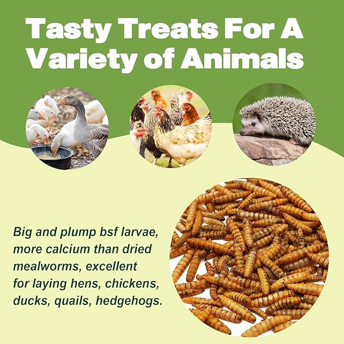 5LB Dried Black Soldier Fly Larvae, 86X Calcium Than Dried Mealworms, High Protein Non-GMO Organic Chicken Feed