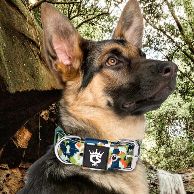 TSPRO Tactical Dog Collar, 1.5 inch Wide, Camo Green, Polyester, Heavy Duty Metal Buckle, Size S
