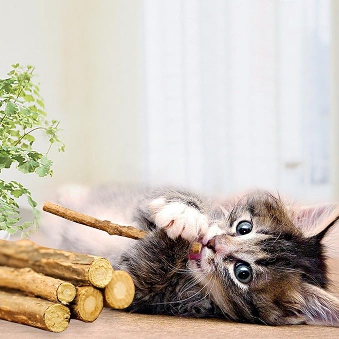 10 PCS Cat Catnip Sticks, Natural Matatabi Silvervine Sticks - Cleaning Teeth Molar Tools Kitten Chew Toy Natural Catnip Cats Toy