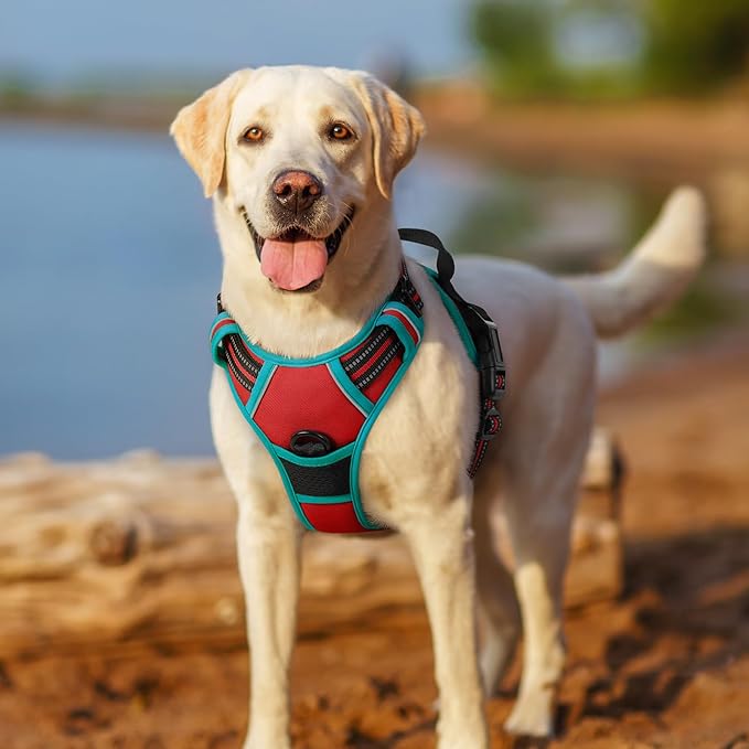 rabbitgoo Dog Harness No Pull with 2 Leash Clips, Adjustable Soft Padded, Reflective Oxford No Choke Pet Vest with Easy Control Handle for Small Dogs, Red & Teal, S