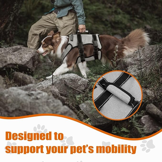 Ayquez Dog Lift Harness with Storage and Transport Bag, Dog Harness with Handle for Lifting & Hip dysplasia, arnés para Perros pequeños, pechera para Perros (Gray, XXL)