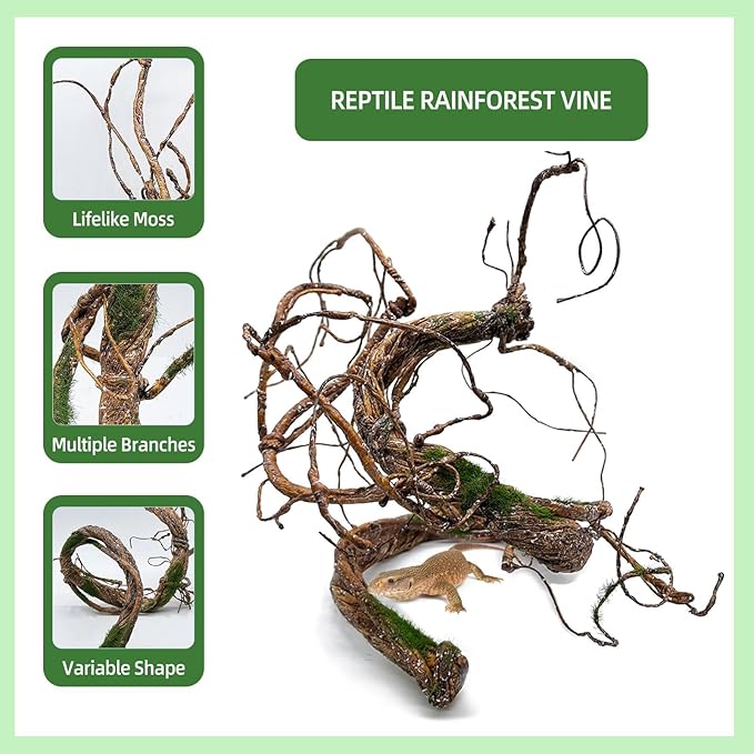 BNOSDM Reptile Vines, Bendable Jungle Climbing Vine with Moss,Terrarium Plants Decor,Artificial Plants Tank Decorations Accessories for Bearded Dragons Chameleons Snakes Lizards Hermit Crabs