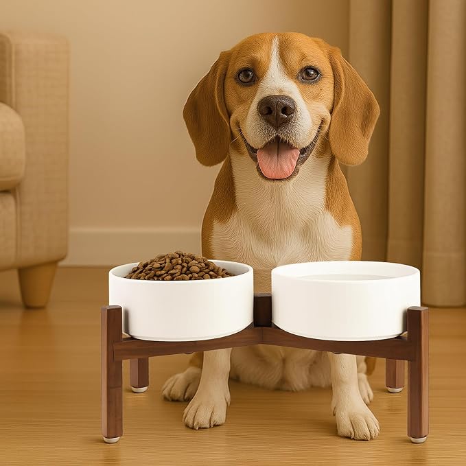 SPUNKYJUNKY Raised Ceramic Dog Bowls Set with Non-Slip Acacia Wood Stand for Medium Sized Dog(42.27 OZ, White)