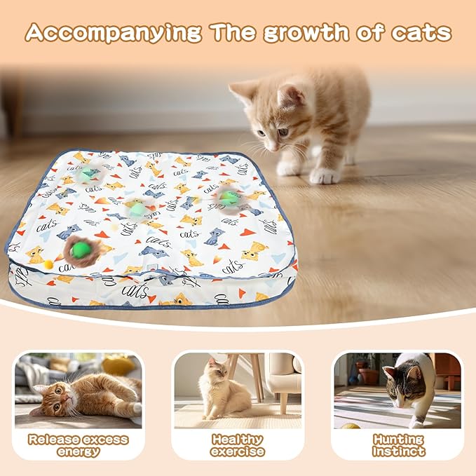 Rocfish Interactive Cat Toys Ball - Automatic Fast Rolling Ball in Play Mat, Hide and Seek Mouse Catching Game, Low-Noise Cat Enrichment Toys in Pouch for Indoor Bored Cats (Green Toy & Square Mat)