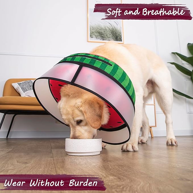 Inflatable Dog Cone Collar with Enhanced Anti-Licking, Soft Neck Donut for Dogs Cats, Recovery Pet Cone Collar After Surgery for Large Medium Small Dogs… (Watermelon, Medium+)