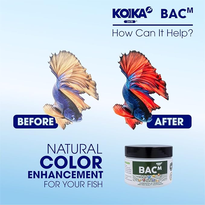 KOIKA BACM Natural Color Enhancement for Fish, Combination of Probiotic & Multi-Vitamins for Aquarium A, B6, B2, Pleasant Smell (BACM, 105ml)