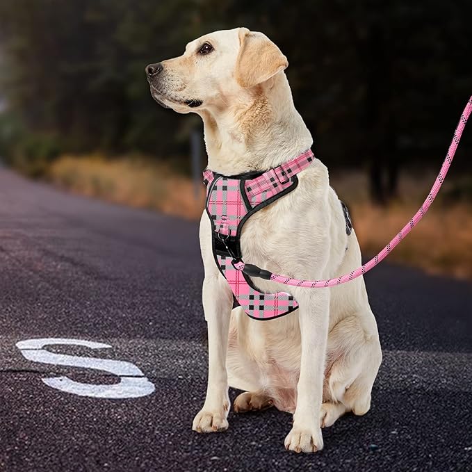 IVY&LANE No Pull Dog Harness with Leash Set, Reflective No Choke Pet Vest,Adjustable Oxford Dog Vest Harness with Easy Control Handle for Medium Lagre Dogs (Checkered Pink,M)